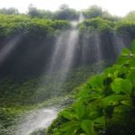 Here Is Everything You Need To Know About Madakaripura Waterfall