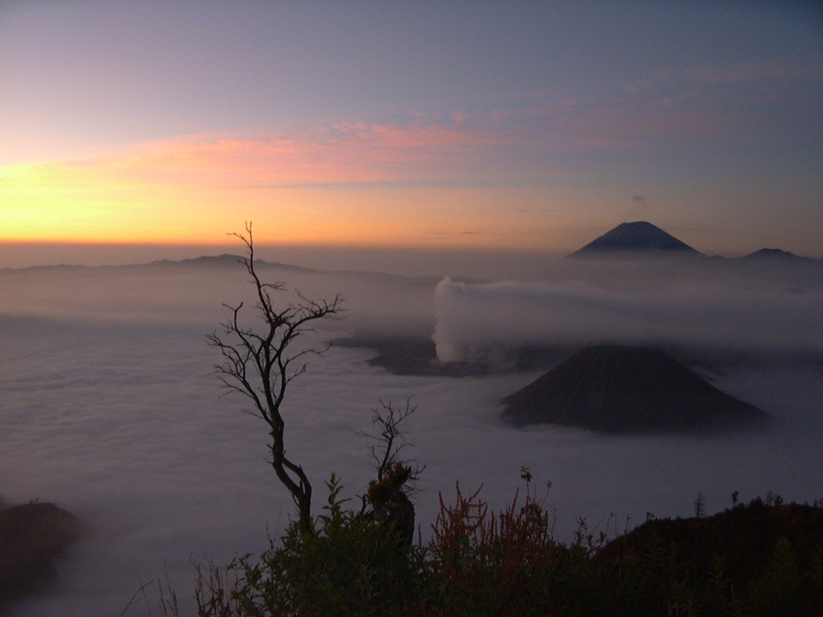 Mount Bromo and Ijen Tour Accommodations - IJEN CRATER, IJEN BLUE FIRE