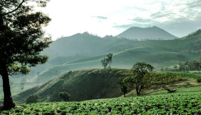 ijen adventure