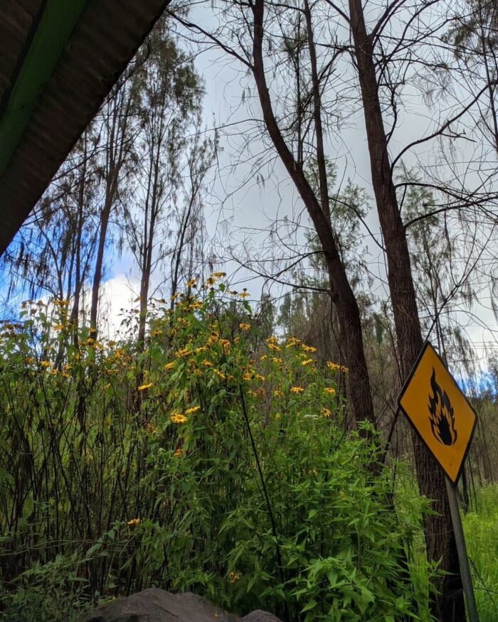 Geopark by the area of Ijen Acid Crater Lake