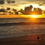 How To Get To Sukamade From Banyuwangi: Navigating The Wilderness