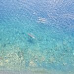 Top Things To Do In Banyuwangi Besides Ijen Crater: Unlock 8 Banyuwangi’s Hidden Gems